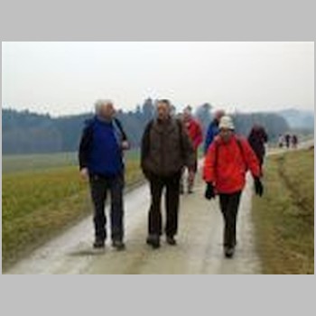 20080130_Wanderung  Islikon nach Rickenbach  und nach Welsikon-Dinhard-IMG_3976-small.jpg